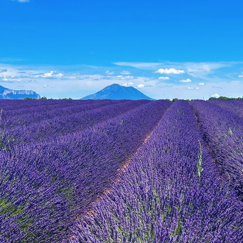 UK Tour UK London+Oxford+Windermere+Edinburgh+York+Cambridge 9 days Adult