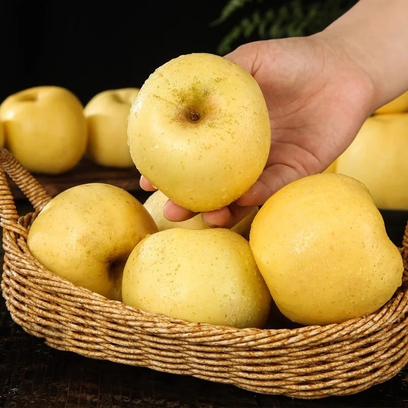 Beijing Fresh Shandong Cream Fuji Apple, net weight 8 pounds, single fruit 80-85mm, fresh fruit, direct shipping from the source, free shipping