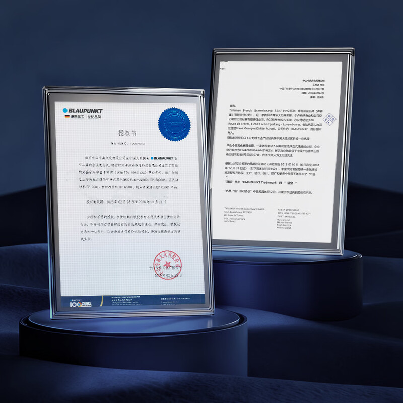 BLAUPUNKT steam cleaner, home kitchen range hood, air conditioner, fabric sterilization and mite removal, high temperature and high pressure steam cleaning machine, portable multi-functional all-in-one cleaner, high temperature steam decontamination, sterilization and mite removal, whole house cleaning 12-piece gift pack