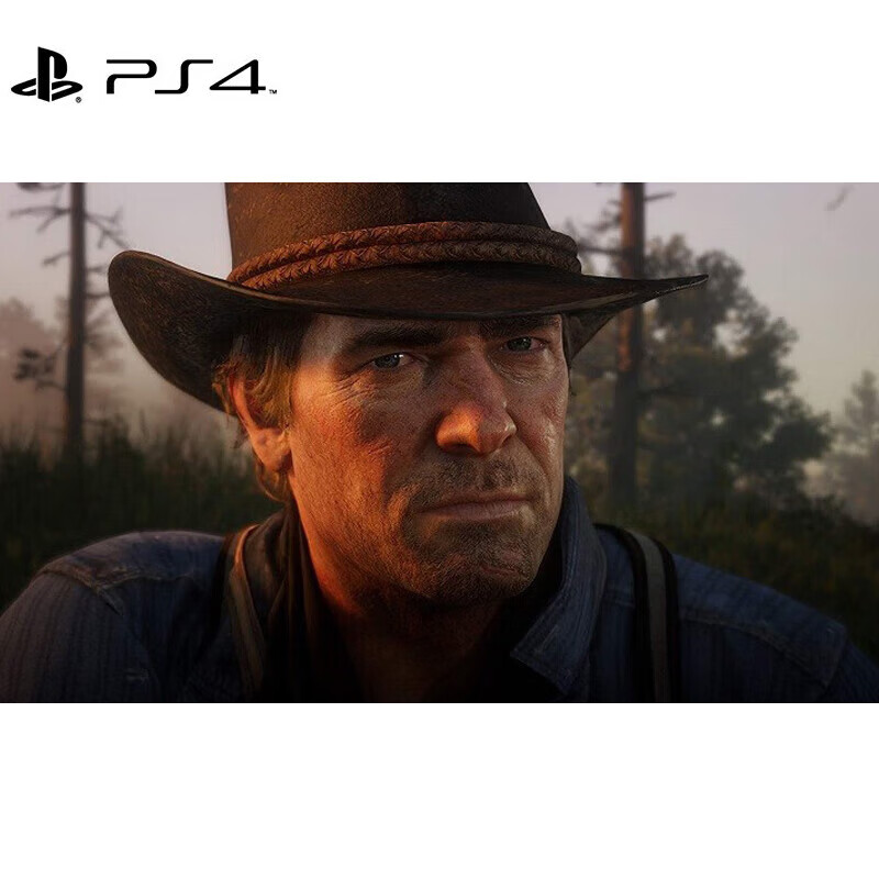 PlayStationPS4/PS5 new game disc game software Red Dead Redemption 2 Chinese
