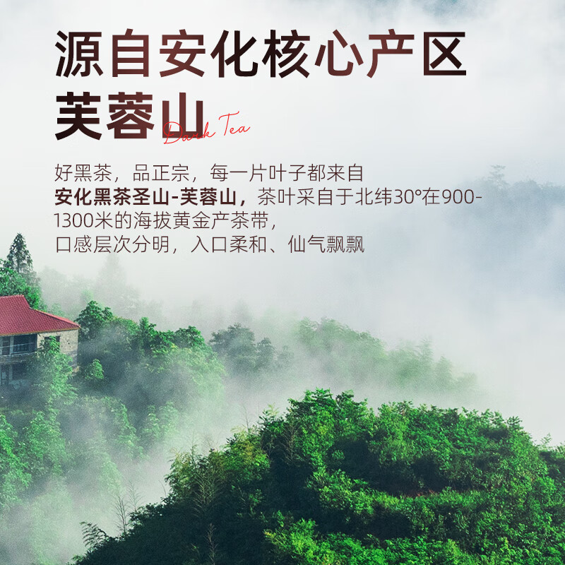 Anhua Dark Tea Authorized by the Tea Association 2013 Authentic Jinhua Fu Brick Tea Premium Tea Gift Box for Father-in-law to Drink for Himself 200g