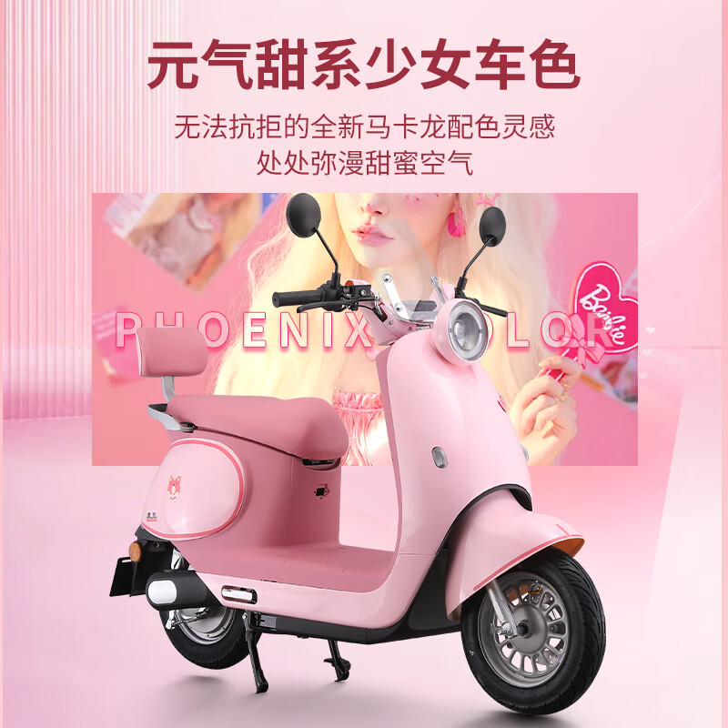 LGK Phoenix Luna electric motorcycle, adult lithium battery, new national standard, ultra-long endurance female commuter electric motorcycle, customized naked model - (need to provide your own battery + charger) - no gifts