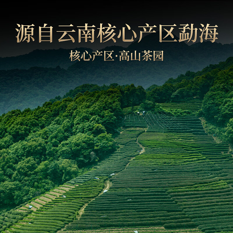 Oriental Master Tea Pu'er Yunnan ancient tree twelve years old waxy fragrant tea fossil Pu'er ripe tea broken silver ration tea 250g