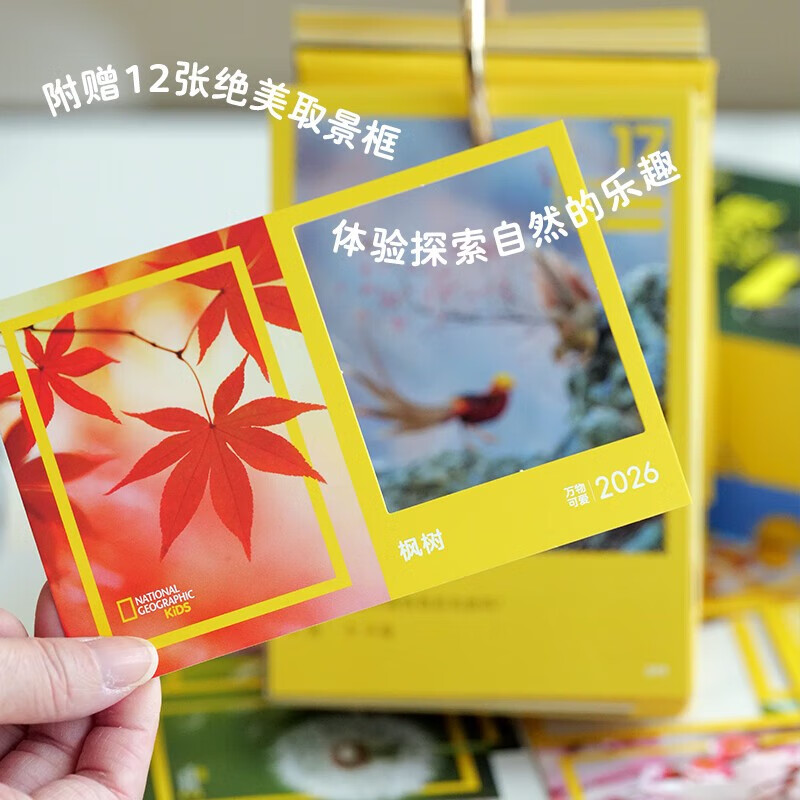 National Geographic Everything is Cute 2026 Calendar Everything is Cute Good Things Will Happen Creative Children’s Popular Science Calendar Spring Festival Gifts New Year Gifts