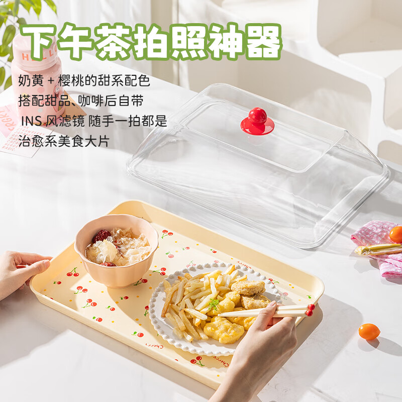 Guangyi covered tray commercial rectangular stall braised food display tray cake dessert plate with dust cover GY8015