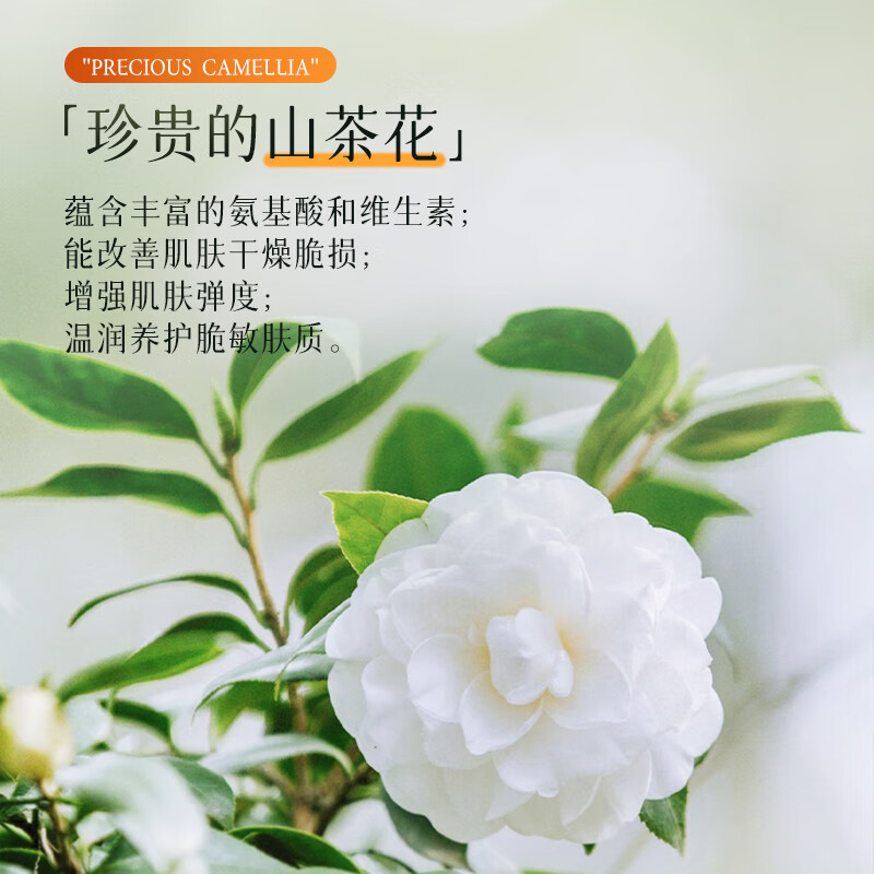 Xuelinfe camellia watery cleansing oil official genuine gentle makeup remover emulsifying quick eyes lip face three-in-one New Year gift