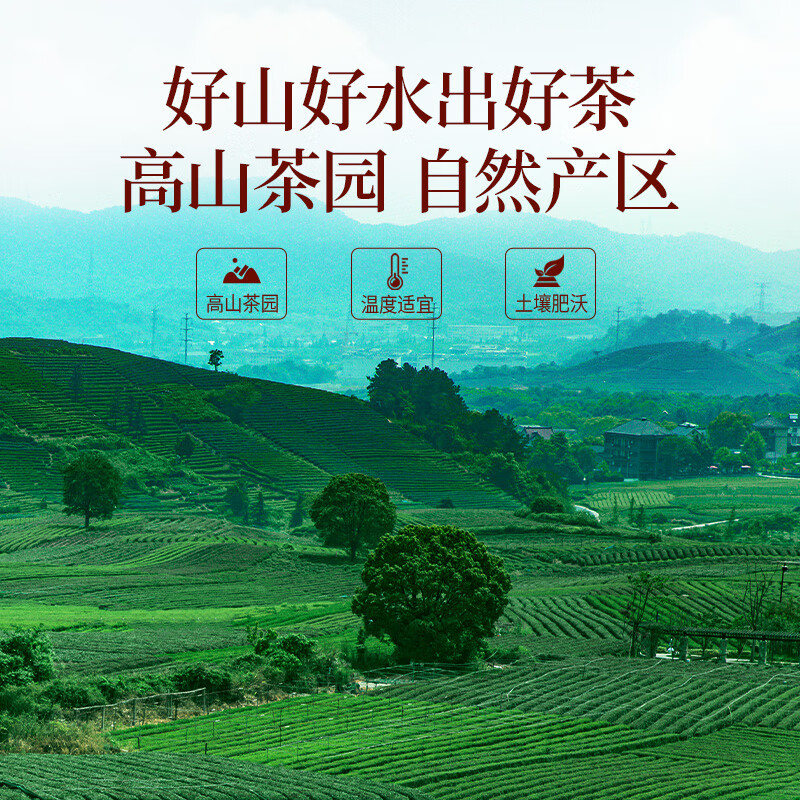 Yangchun West Lake Yinghong No. 9 black tea, authentic Guangdong Yingde black tea, self-drink ration tea, strong fragrance and durable tea 250g