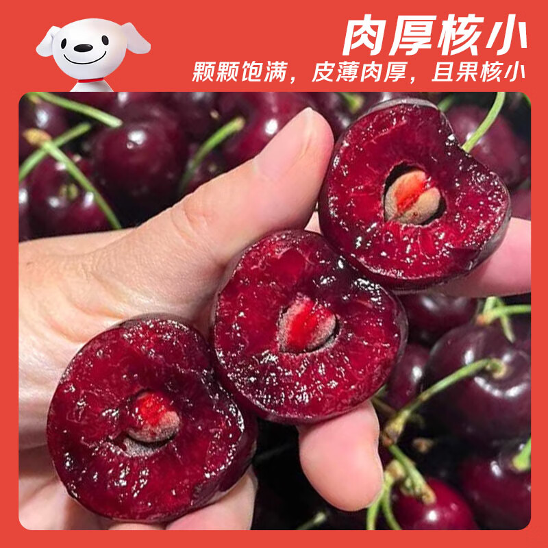 Jingdida imported cherries from Chile, gift box net weight 2.5 catties, single fruit 30mm+ 3J grade fresh food, direct shipping from the source, free shipping