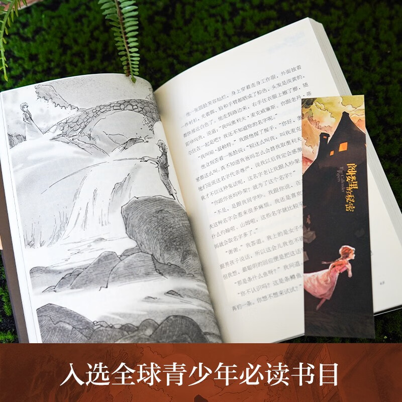 The Secret in the Attic, an Ivy International Award-winning novel with themes such as fatherly love, reasoning, sincerity, rationality, and trust. A must-read for primary and secondary school students in grades 3, 4, 5, and 6. International Children's Literature Award classic extracurricular reading that affects children's lives.