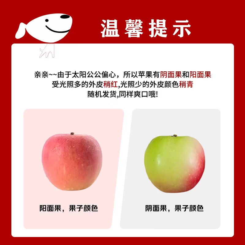 Jingmi Shaanxi Red Fuji Ugly Apple, net weight 4.5kg, single fruit 220g+, fresh fruit, straight from the source