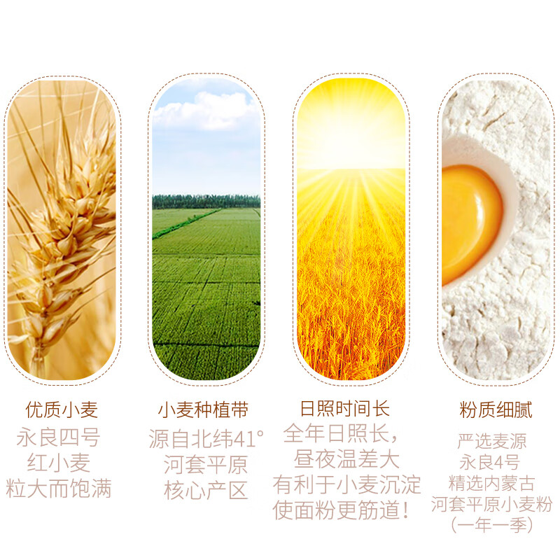 Qiheyuan Hetao plain whole wheat flour 10kg Inner Mongolia flour 5kg wheat flour fine powder