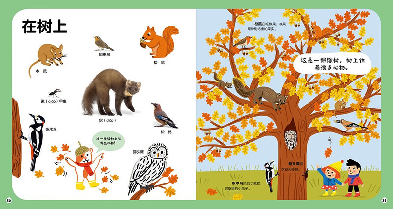 Children's Encyclopedia of Enlightenment Cognition: Secrets of Animals Hardcover Hardcover 0-3 Years Old Enlightenment Popular Science Book Children's Books Early Education Encyclopedia