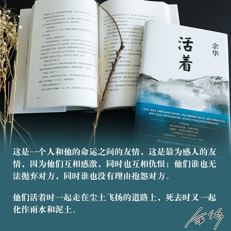 Yu Hua's Works Alive Hardcover Edition Yu Hua's Representative Works Yi Yang Qianxi Recommended Reading Novel Luk Ming's Secret Smile