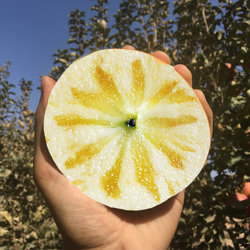 Jingdida Xinjiang Rock Sugar Heart Aksu Apple, net weight 9 pounds, large fruit, fruit diameter 80-85mm, free shipping directly from the source