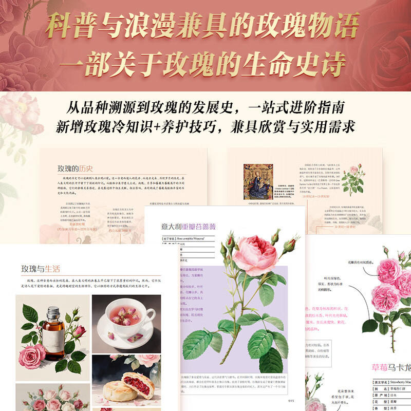 Complete Rose Book, free rose folding umbrella + rose magnetic bookmark + refrigerator magnet*2 + customized gift box with brushed edges on three sides