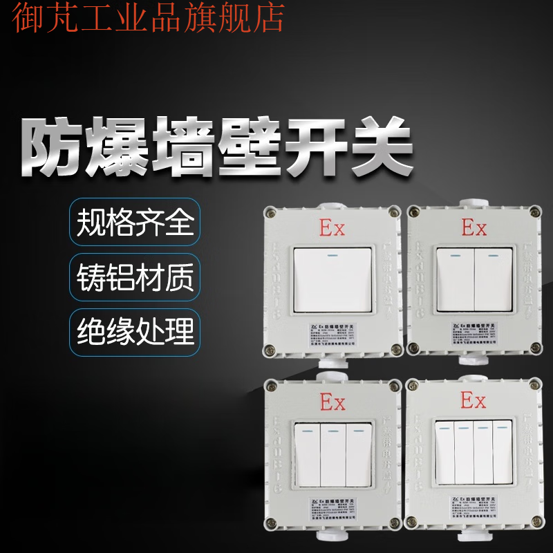 Explosion-proof wall switch 220V10A exposed and concealed 86 type single double triple triple double control rocker lighting switch IIC switch (two switches)