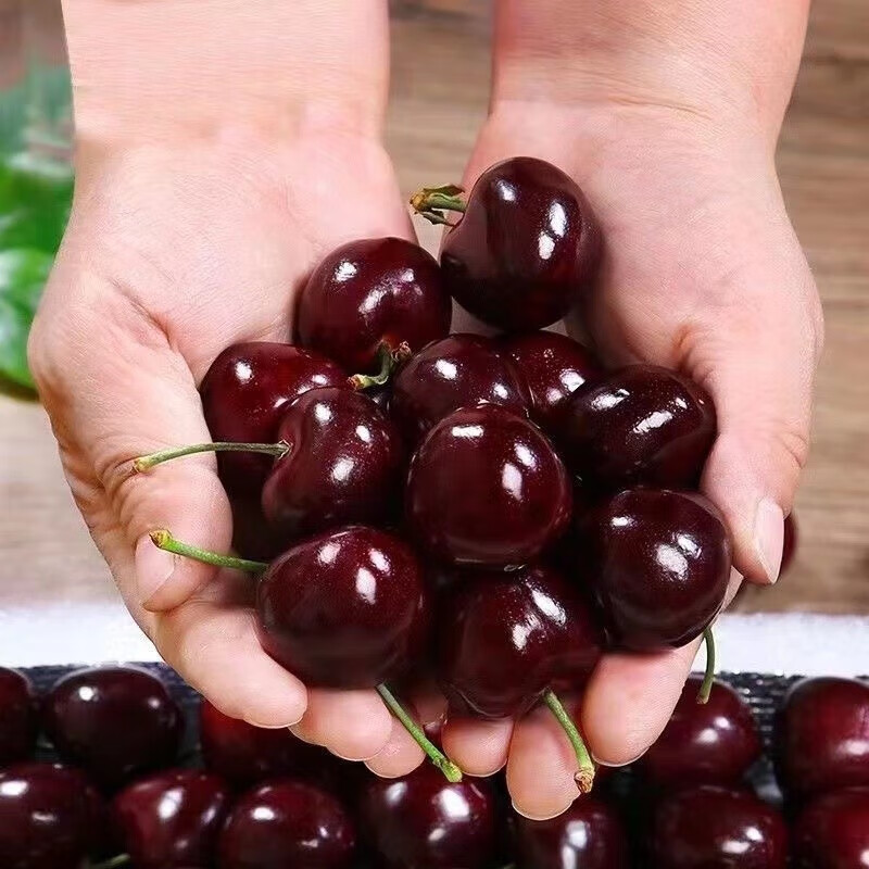 Jingdida imported cherries from Chile, gift box net weight 2.5 catties, single fruit 30mm+ 3J grade fresh food, direct shipping from the source, free shipping