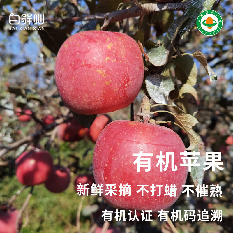 Organic Venus Red Fuji seasonal fruit fresh farm straight hair unwaxed Spring Festival gifts organic Venus apple 60-70mm (about 3 pounds of baby fruit)
