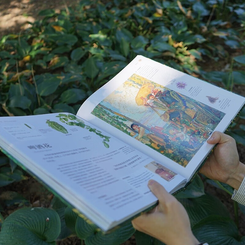 DK Herbal Encyclopedia