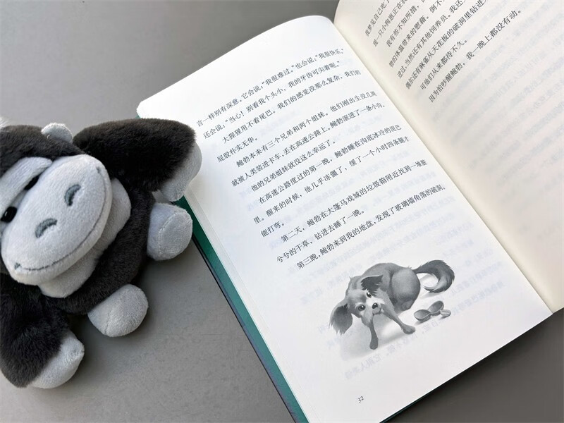 The Unique Ivan Newbery Gold Medal It’s never too late to be yourself Self-drive Empathy Animal protection Primary school extracurricular reading 7-1