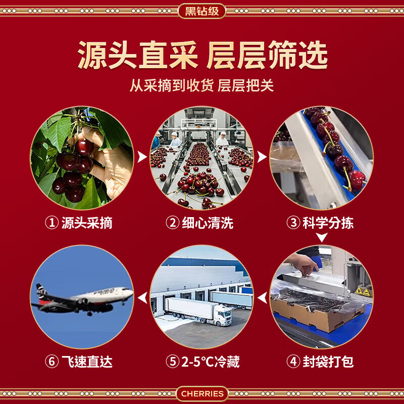 Fenlan Chilean cherries JD SF Express - next-day delivery to many places Imported large cherry gift box New Year's Day gift fruit 3 pounds (net weight) Extra large fruit 3J grade 30mm+
