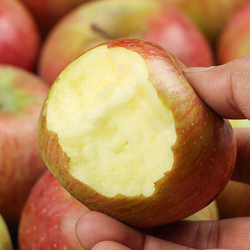 Fresh small Guoguang apple Northeastern authentic old tree Guoguang apple sour and sweet seasonal fruit for pregnant women 9-9.5 catties large fruit (with box)