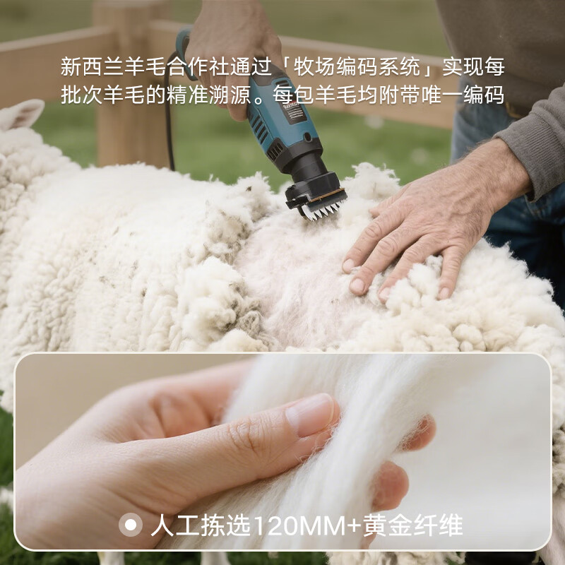 Dajiang Dazhai comes standard with New Zealand wool carpet for living room 2025 new style light luxury high-end home 200x300cm