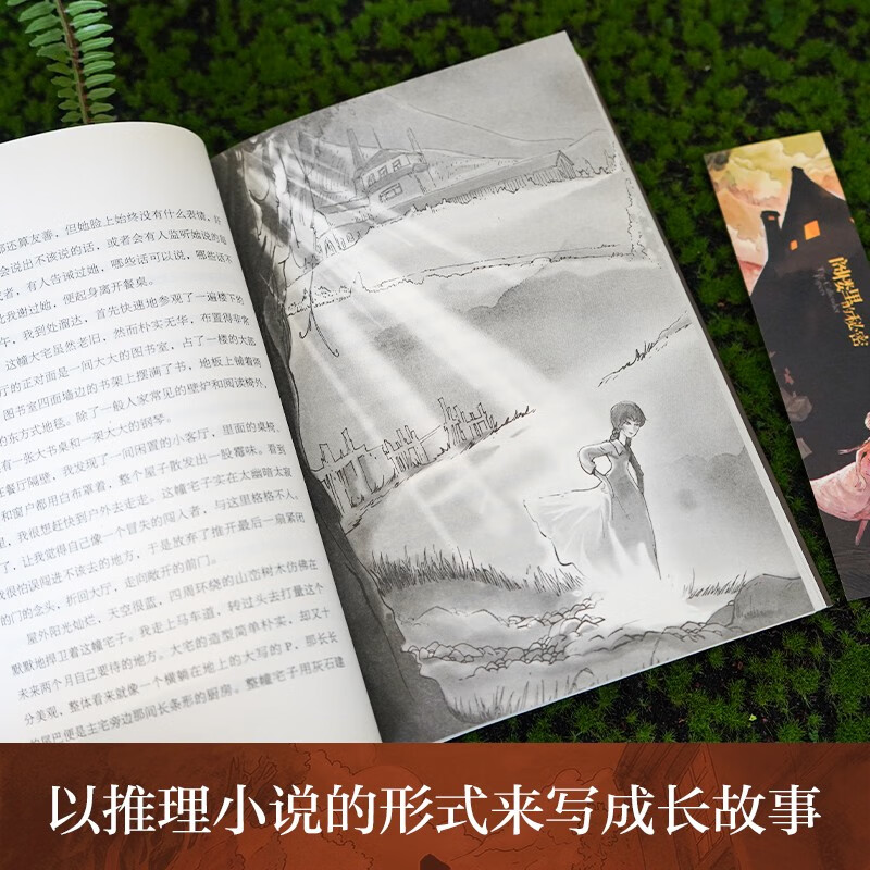 The Secret in the Attic, an Ivy International Award-winning novel with themes such as fatherly love, reasoning, sincerity, rationality, and trust. A must-read for primary and secondary school students in grades 3, 4, 5, and 6. International Children's Literature Award classic extracurricular reading that affects children's lives.