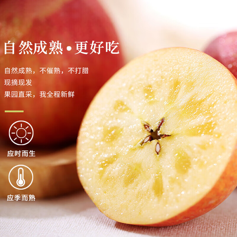 Jingdida Xinjiang Aksu Rock Candy Heart Apple Fruit Gift Box 12 pieces net weight 8 pounds single fruit 250g + free shipping directly from the source