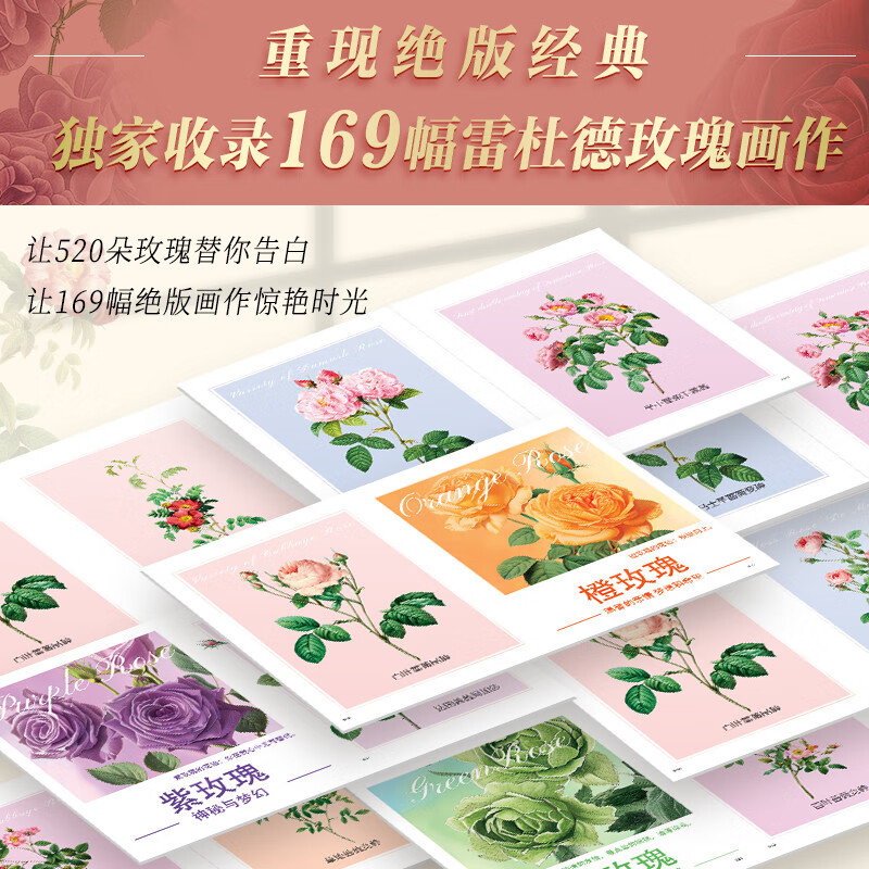 Complete Rose Book, free rose folding umbrella + rose magnetic bookmark + refrigerator magnet*2 + customized gift box with brushed edges on three sides