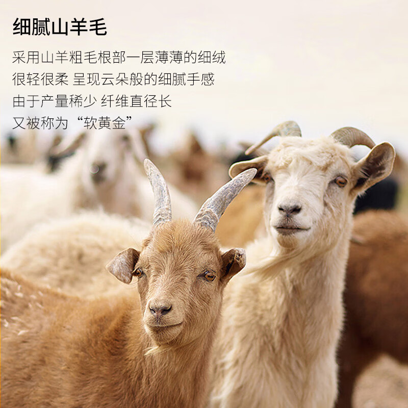 OLIDGE wool mulberry silk velvet warm seamless short-sleeved underwear men's winter v-neck inner wear bottoming shirt autumn clothes men's fashion white L (120-135 pounds)