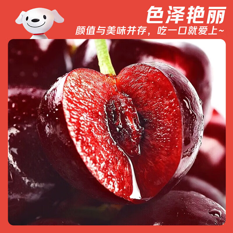 Jingdida imported cherries from Chile, gift box net weight 2.5 catties, single fruit 30mm+ 3J grade fresh food, direct shipping from the source, free shipping