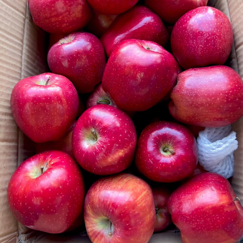 Fresh Huaniu Apple, produced in Tianshui, Gansu Province at a high altitude, for hair straightening. Sufficient moisture, suitable for all ages, healthy and fragrant. Nine-pound package, 85mm (inclusive)-90mm (inclusive)