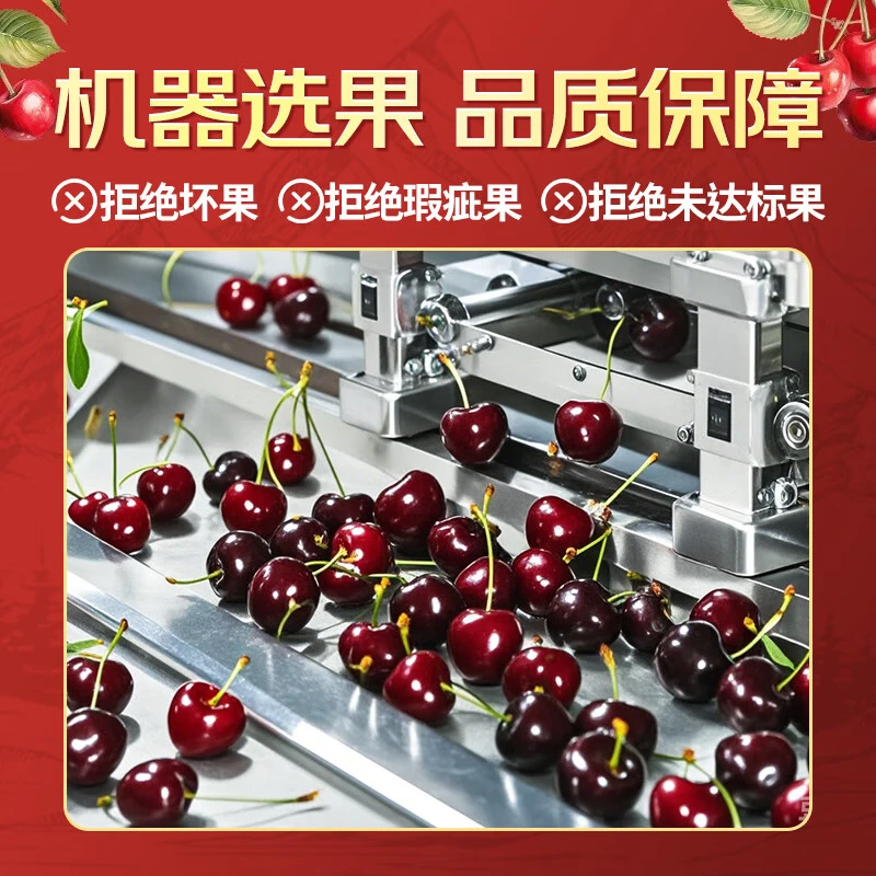 Bajiguo Gold Award Chilean Cherries Selection Gift Box Imported Large Cherries VIP Group Purchase Business Gift SF Direct Delivery 5kg (net weight) Imported original box without unpacking to ensure freshness Big Mac 3J Single fruit 10-12g