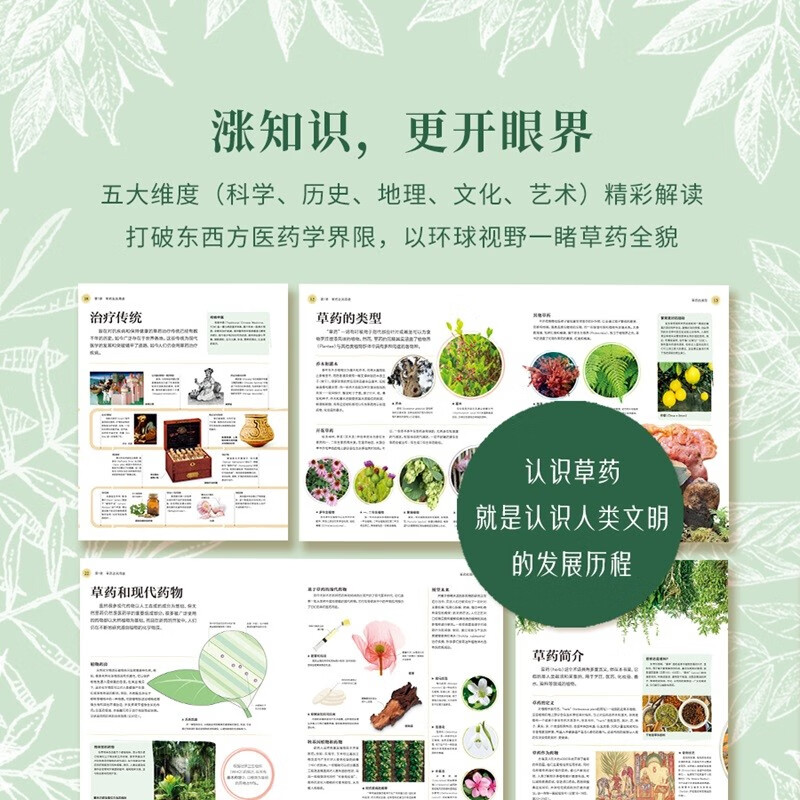 DK Herbal Encyclopedia