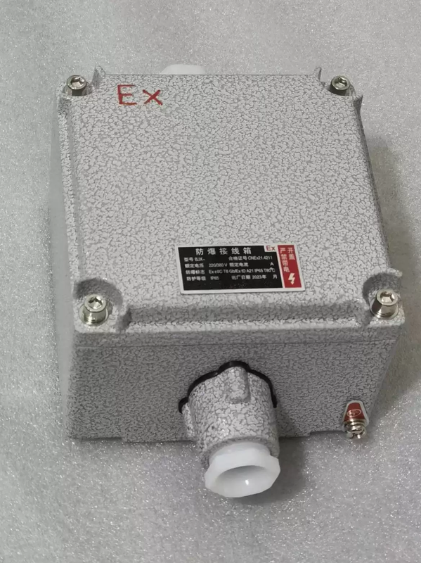 Explosion-proof increased safety junction box 135*135 branch terminal box distribution box explosion-proof instrument control box inspection box two headers below