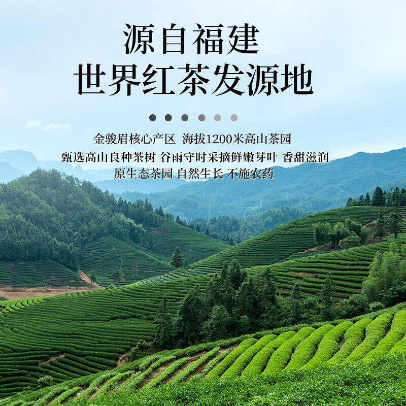 Yuefeng first-class honey-flavored golden Junmei black tea 2025 new tea Fujian authentic stomach-nourishing canned tea 500g New Year gift box