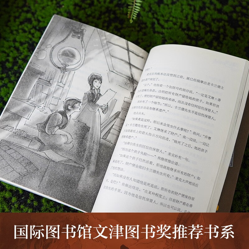 The Secret in the Attic, an Ivy International Award-winning novel with themes such as fatherly love, reasoning, sincerity, rationality, and trust. A must-read for primary and secondary school students in grades 3, 4, 5, and 6. International Children's Literature Award classic extracurricular reading that affects children's lives.