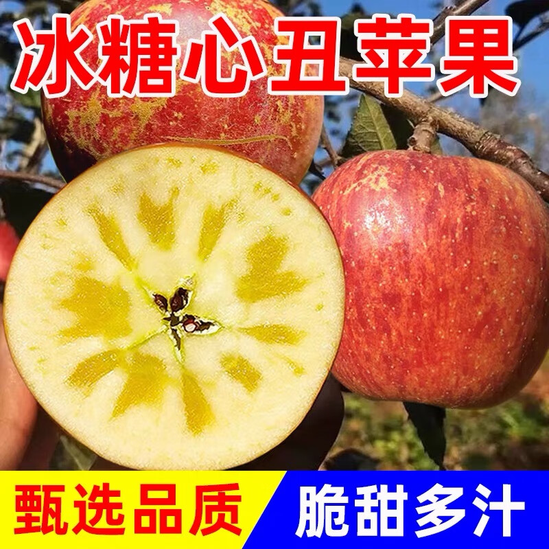 25-year new fruit shipped from Zhaotong, Yunnan, late-ripening red Fuji apple fruit, fresh ugly apple rock candy heart in season, 80-85mm large fruit, 5kg net weight