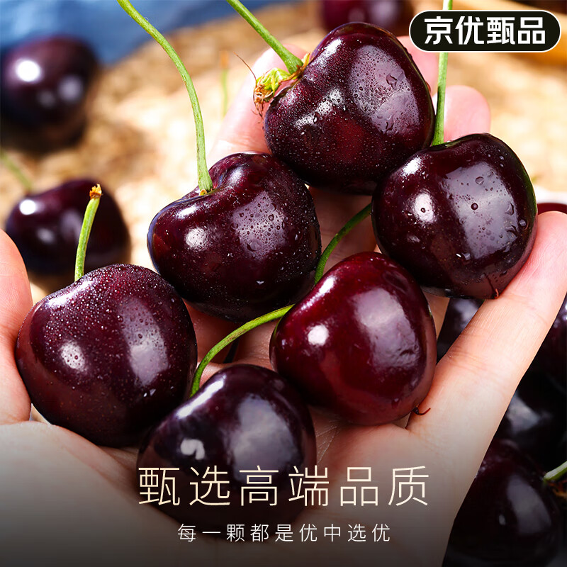 Jingdida Chile imported cherries 2 pounds JJJ grade extra large fruit single fruit 30mm + air freight fresh fruit direct from the source