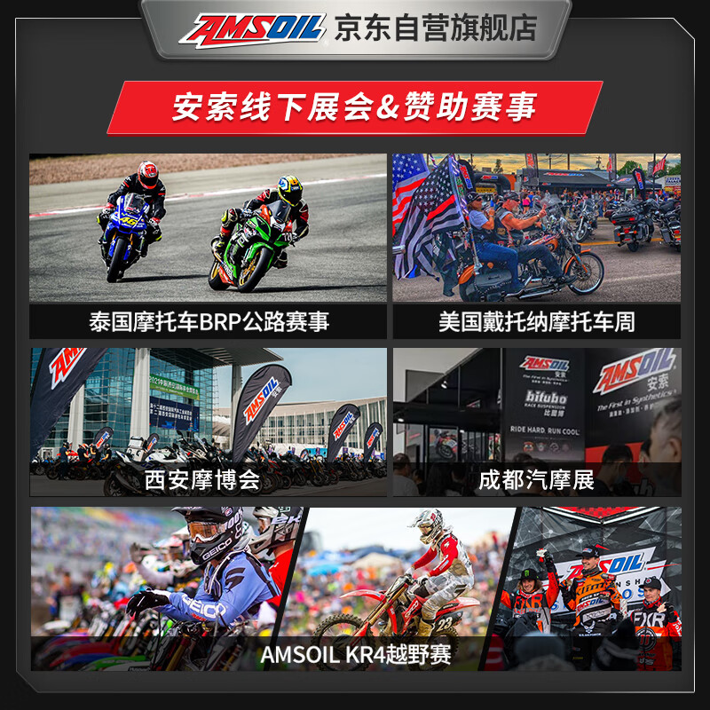 AMSOIL Spring Breeze 2-Bottle Set 10W40 Motorcycle Oil Fully Synthetic 250SR 250NK 250CLX 250CLC