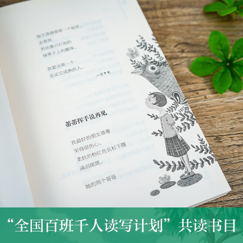 The Ivy International Award-winning novel 