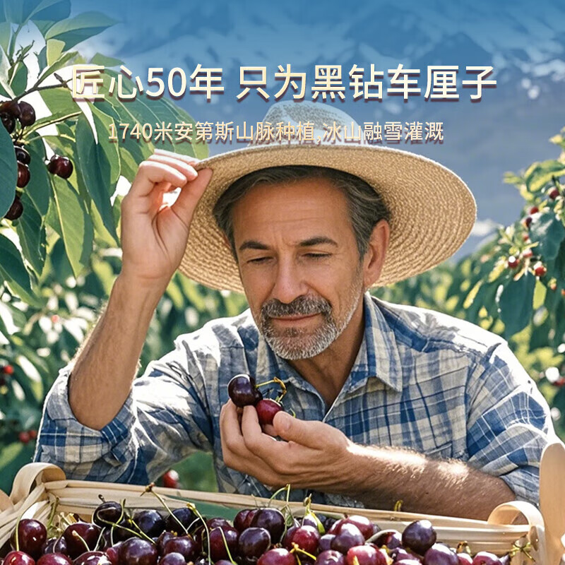 Fenlan Chilean cherries JD SF Express - next-day delivery to many places Imported large cherry gift box New Year's Day gift fruit 3 pounds (net weight) Extra large fruit 3J grade 30mm+