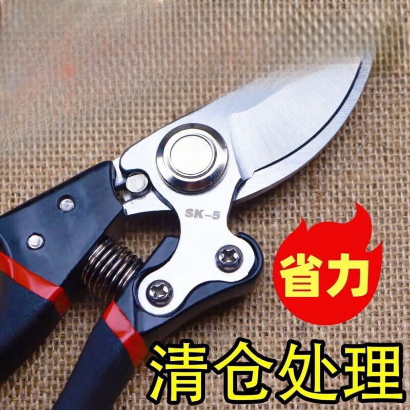 FANCYCHIC German craft steel branch shears, tree shears, fruit tree shears, pruning scissors for household flowers and trees, removable drip irrigation bag, German steel blade, fast delivery nationwide, super labor-saving, original thick branch shears sk+5