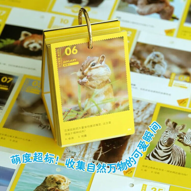 National Geographic Everything is Cute 2026 Calendar Everything is Cute Good Things Will Happen Creative Children’s Popular Science Calendar Spring Festival Gifts New Year Gifts