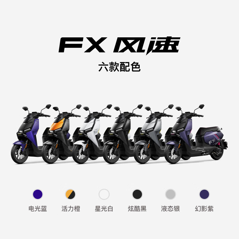 Mavericks live broadcast room to get 100 coupons FX wind speed abs electric motorcycle smart high-speed commuting adult takeaway rider battery transportation electric motorcycle (service fee charged at the store FX wind speed pick up at the store