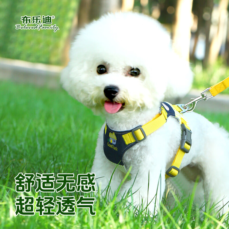 Bledi dog collar, adjustable traction rope, dog leash, special collar for large dogs, P chain, explosion-proof, yellow denim xs spliced denim polyester,