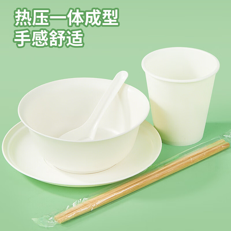 Youao disposable tableware set 5-piece set for 1 person bowls, chopsticks, cups, spoons and plates biodegradable tableware New Year's no-wash dinner party