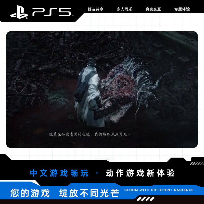 Sony (SONY) PlayStation 4 PS4 Game Disc/PS5 Universal Bloodline Bloodborne Old Hunter Edition Annual Edition (Ontology DLC) Hong Kong Version Chinese