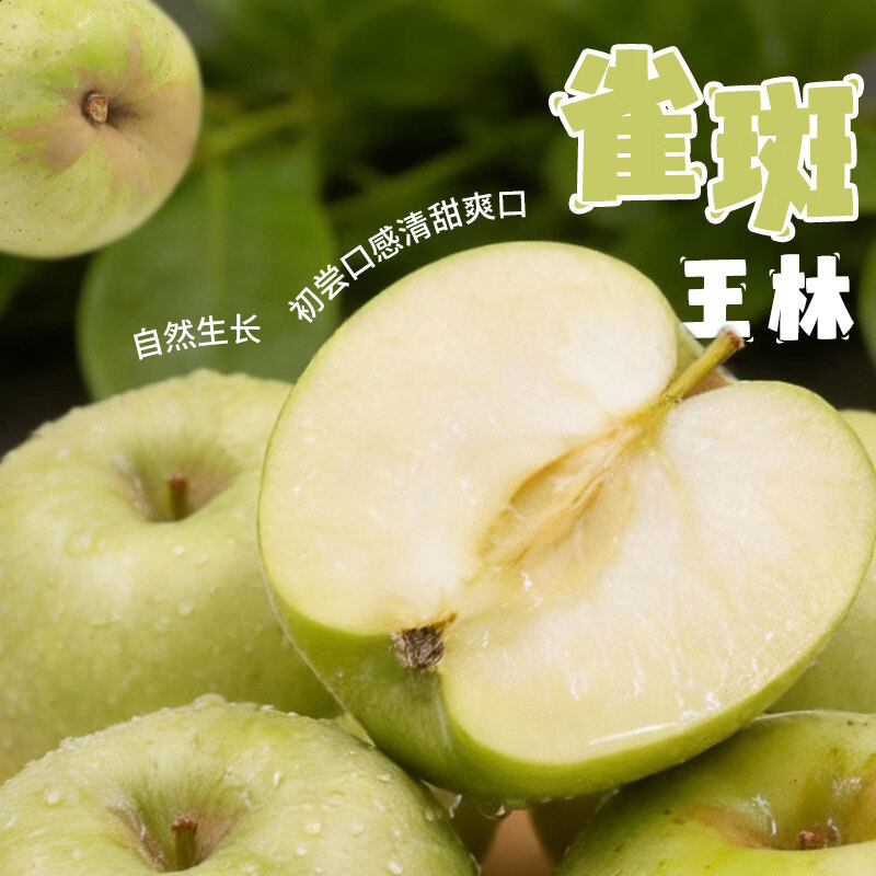 Jingxiansheng Shandong Freckled Wanglin Apple, net weight 3.6 catties, gift box, about 9-11 pieces, fresh fruit